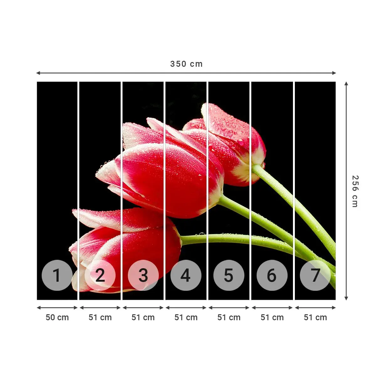 Selbstklebende Fototapete Deluxe Sticker - Ein Versprechen der reinen Liebe - Blumen, Tulpen, Natur - 350x256 cm