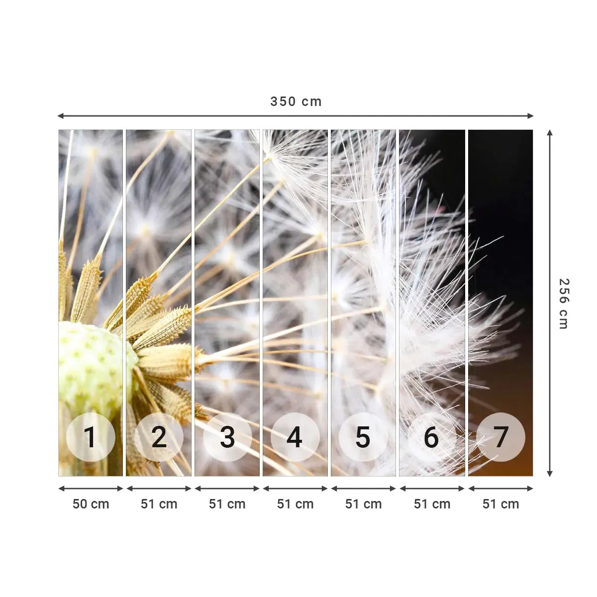Self-Adhesive Photo Wallpaper Deluxe Sticker - Just before the Takeoff - Flower, Plant, Nature - 350x256 cm