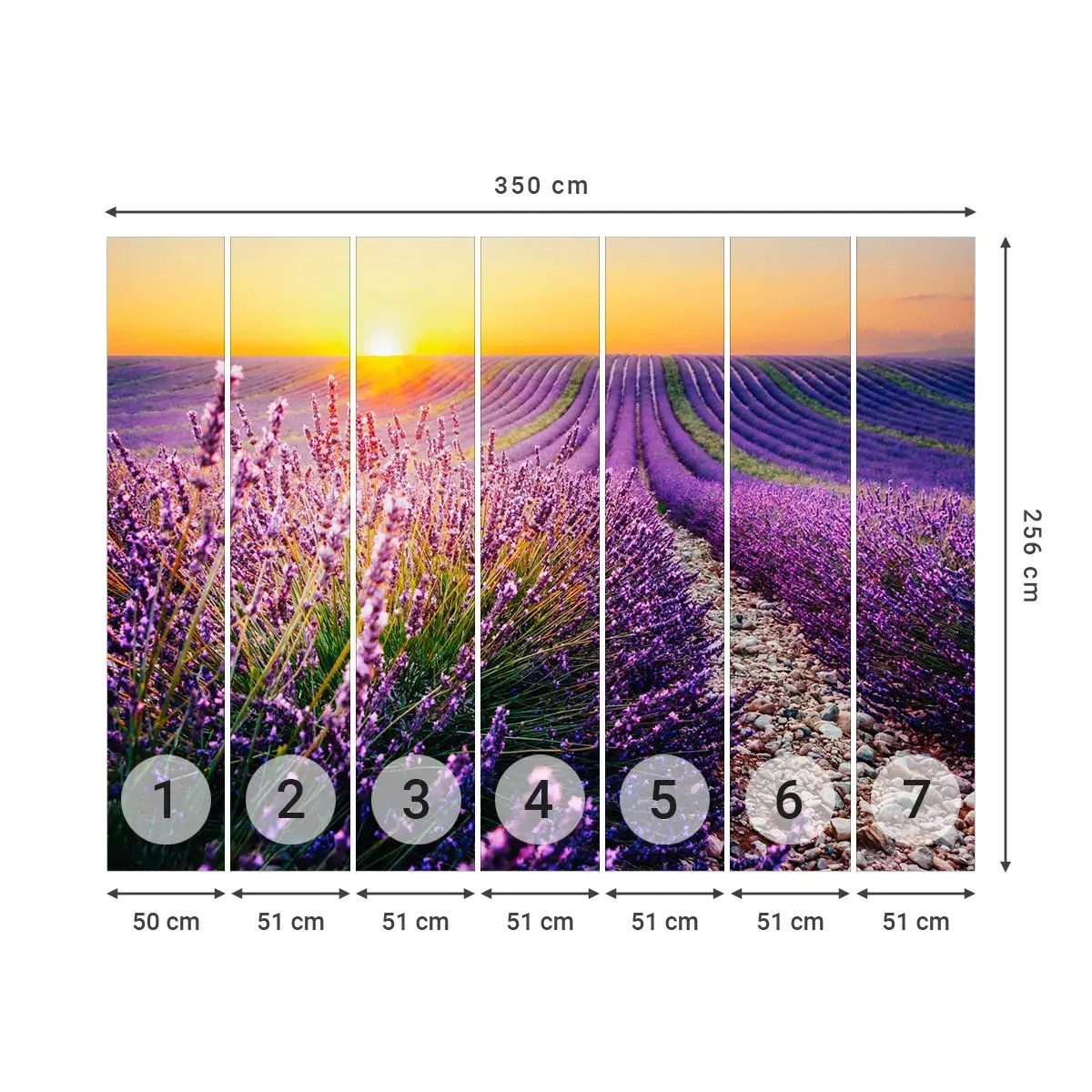 Fotomural Autadhesivo Deluxe Sticker - Pradera fragante - Paisaje, campo de lavanda, Provenza - 350x256 cm