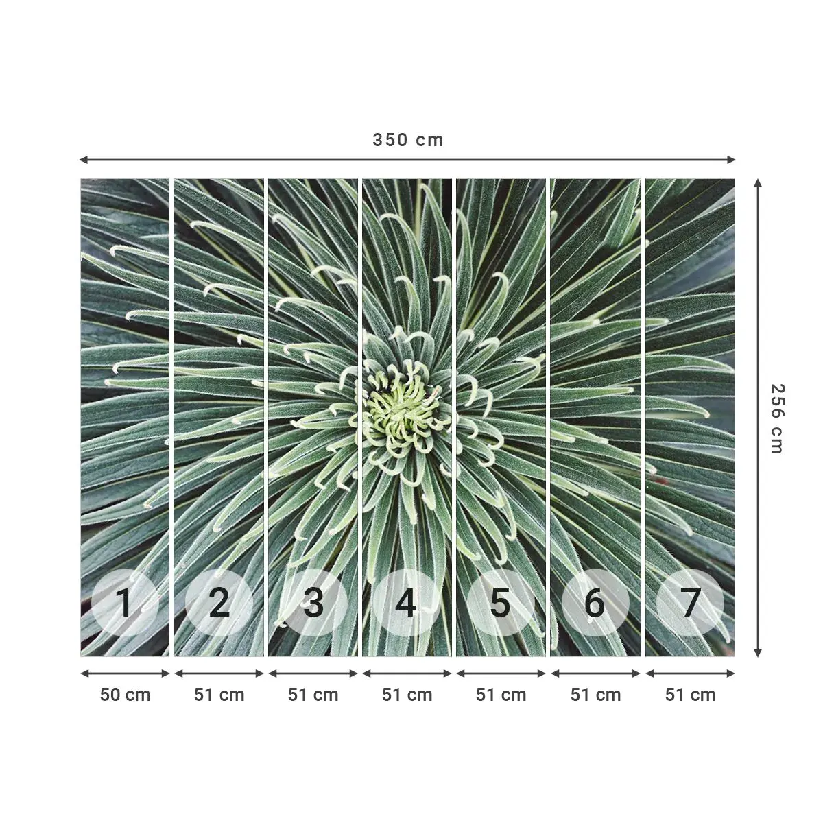 Tapet Autoadeziv Deluxe Sticker - Nașterea unei stele - Floare de agave, Agavă, Flori - 350x256 cm