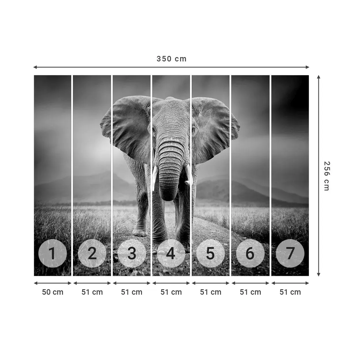Fotomurali Autoadesivo Deluxe Sticker - Il padrone di casa dà il benvenuto - Elefante, Animali, Paesaggio - 350x256 cm