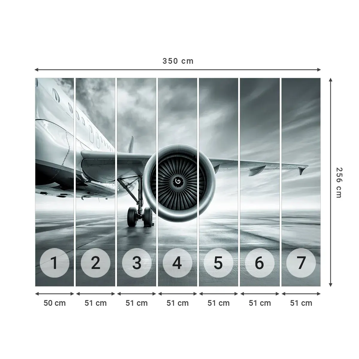 Tapet Autoadeziv Deluxe Sticker - Ce putere! - Avion, excursie, Afaceri - 350x256 cm