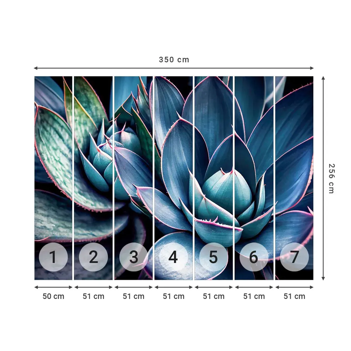 Selbstklebende Fototapete Deluxe Sticker - Lebenskraft - Blumen, Botanik, Sukkulenten - 350x256 cm