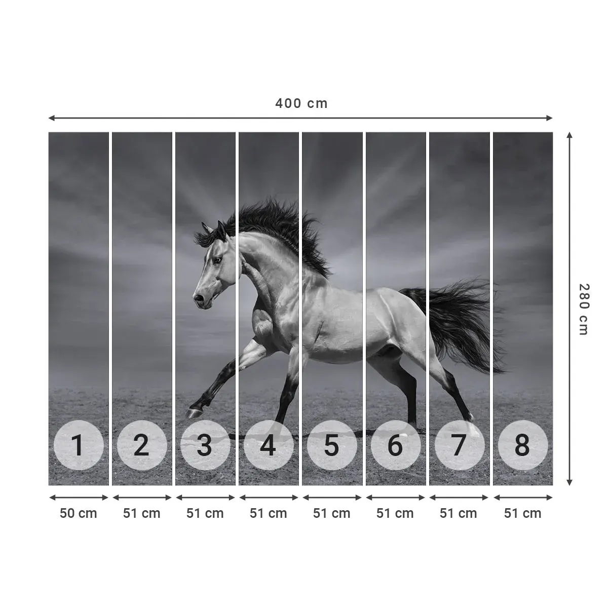 Fotomural Autadhesivo Deluxe Sticker - Nacido para deleitar - animales, Caballo, Naturaleza - 400x280 cm
