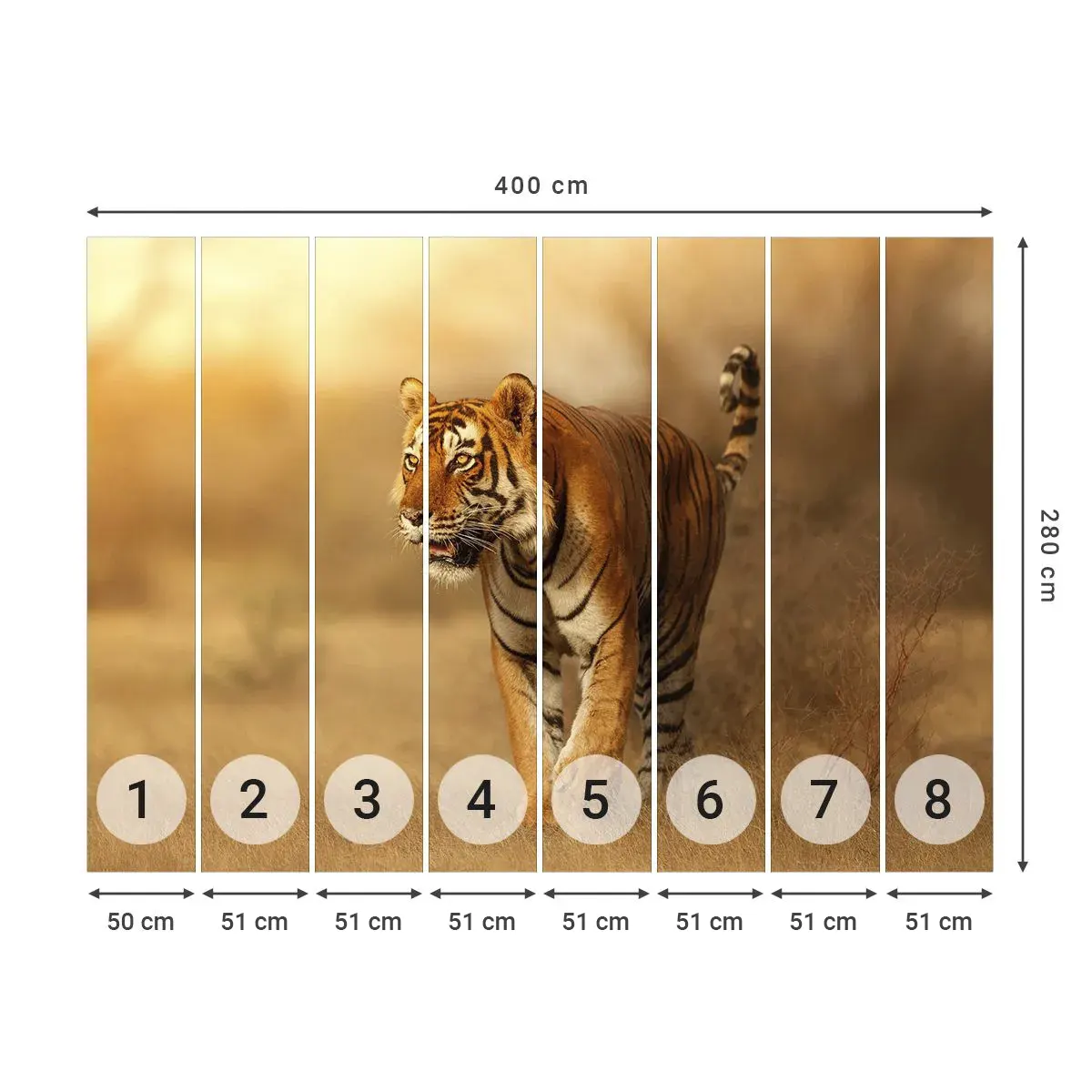 Selbstklebende Fototapete Deluxe Sticker - Vor dem Angriff - Tiere, Tiger, Afrika - 400x280 cm