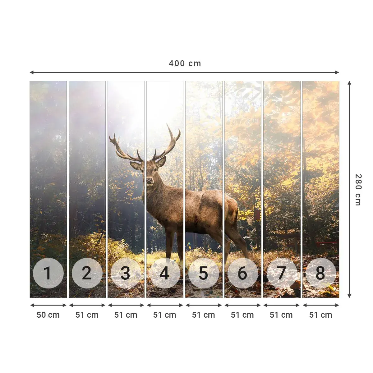 Selbstklebende Fototapete Deluxe Sticker - In voller Majestät - Landschaft, Reh, Wald - 400x280 cm