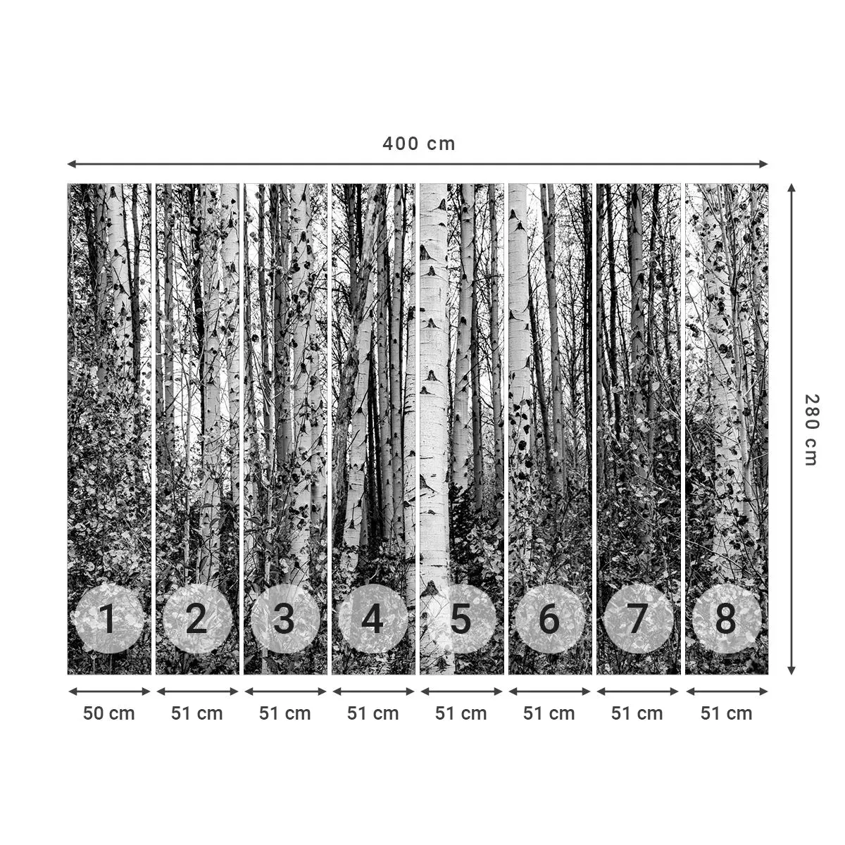 Tapet Autoadeziv Deluxe Sticker - Coloane de mesteacăn - pădure, mesteacăn, Natură - 400x280 cm