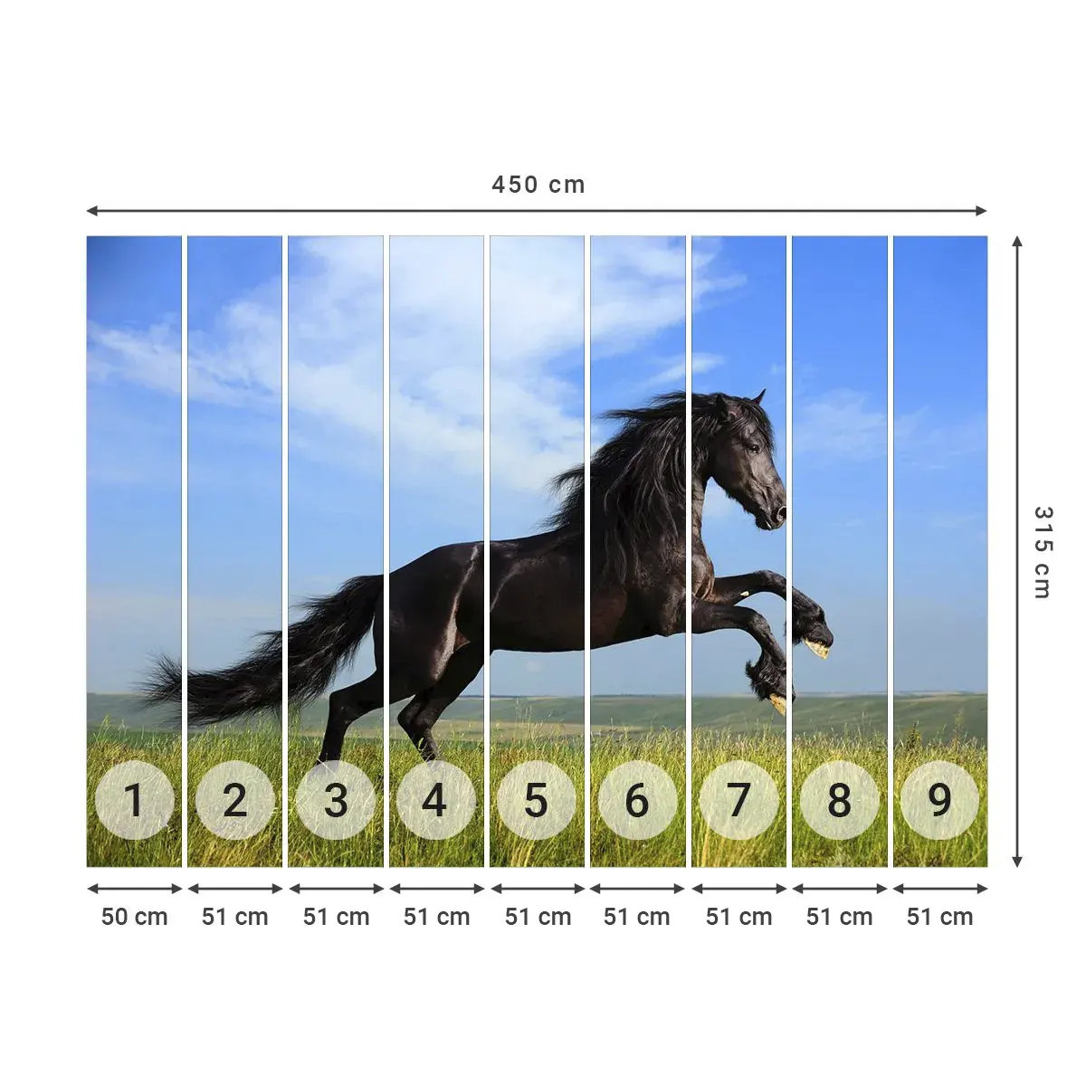 Självhäftande Fototapet Deluxe Sticker - Tagande frihetsmanifest - Djur, Häst, Landskap - 450x315 cm