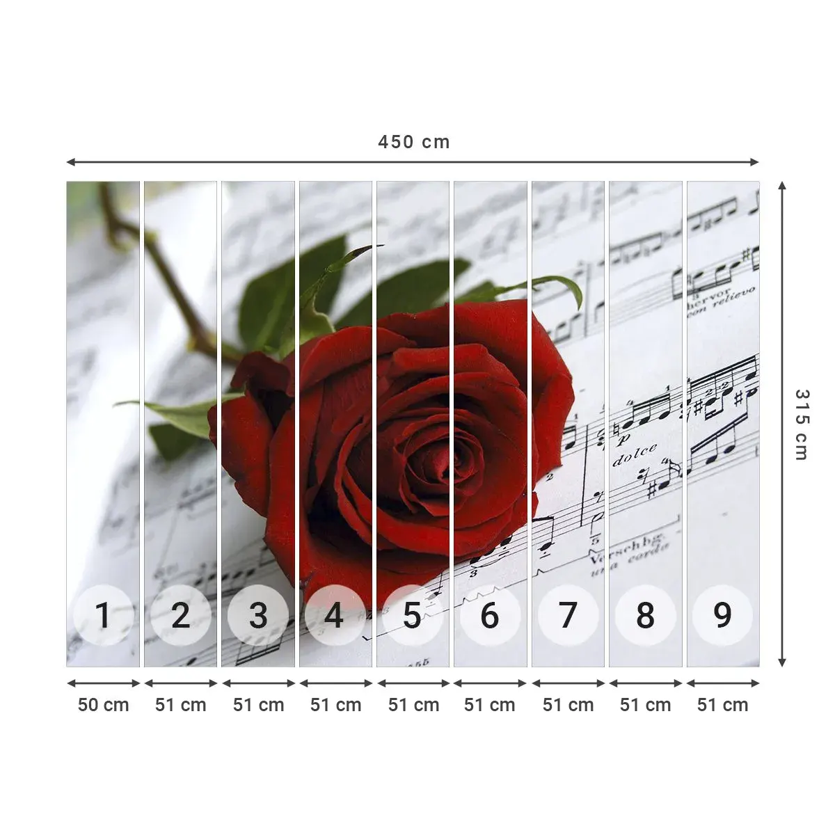 Selbstklebende Fototapete Deluxe Sticker - Musik der Gefühle in Scharlach - Blumen, Rose, Musik - 450x315 cm