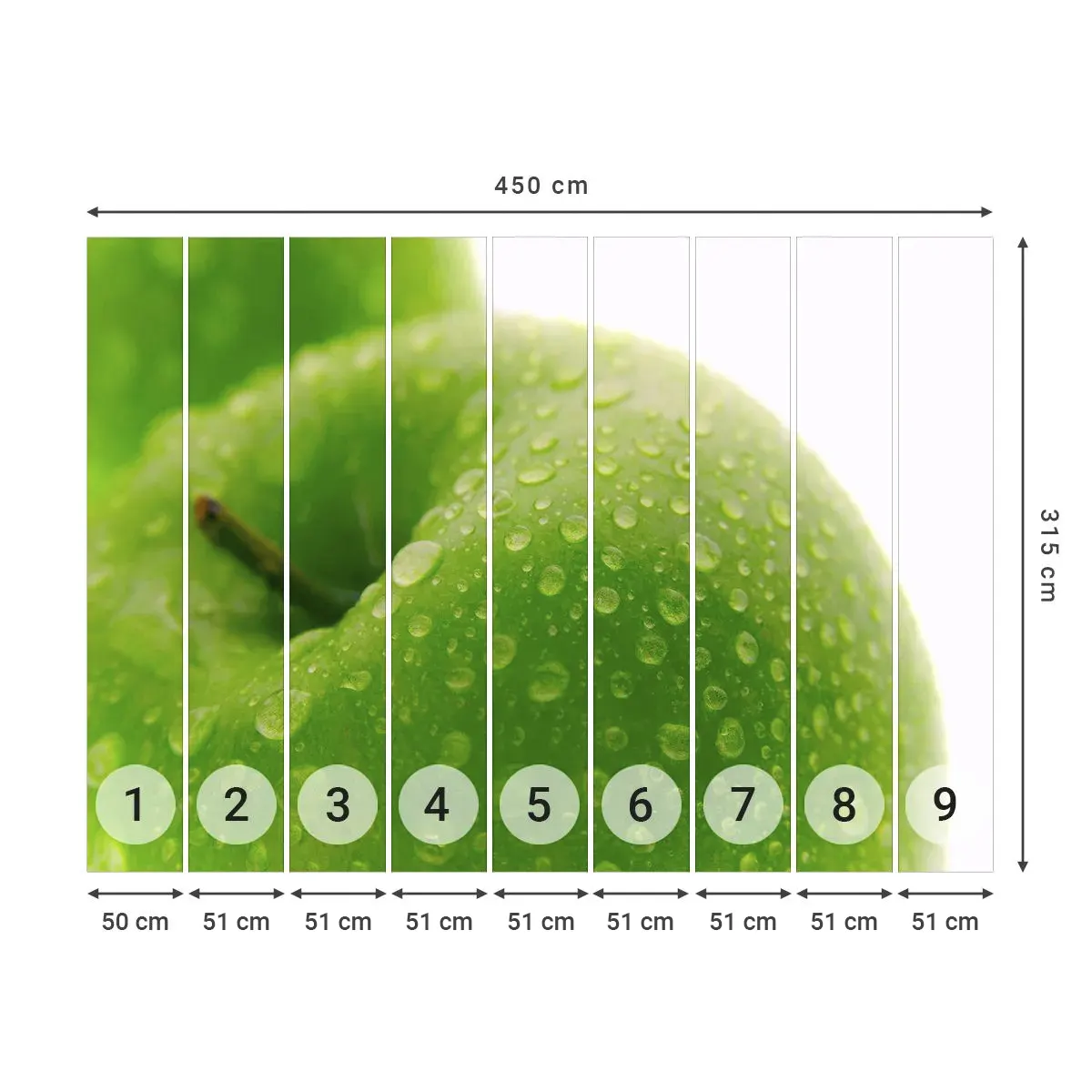 Öntapadós Fotótapéta Deluxe Sticker - Zöld hűvös frissesség - Gyümölcs, alma, Gasztronómia - 450x315 cm