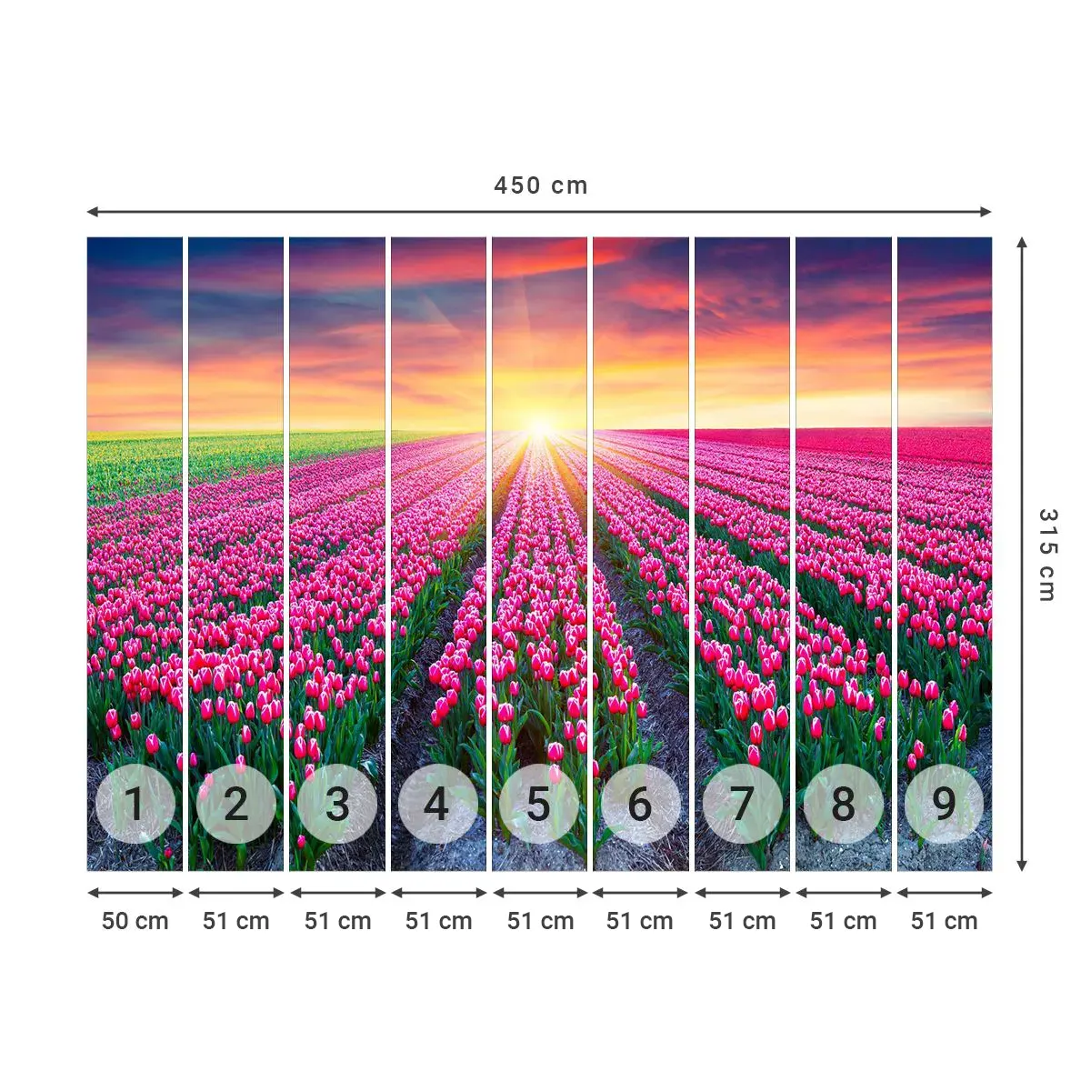 Självhäftande Fototapet Deluxe Sticker - Skönhetsfarmen - Blommor, Tulpaner, Solnedgång - 450x315 cm