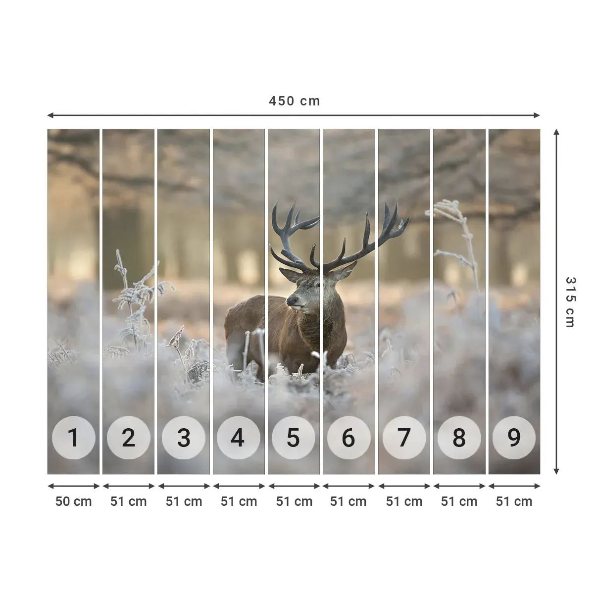 Self-Adhesive Photo Wallpaper Deluxe Sticker - Chilly Morning - Landscape, Deer, Animals - 450x315 cm