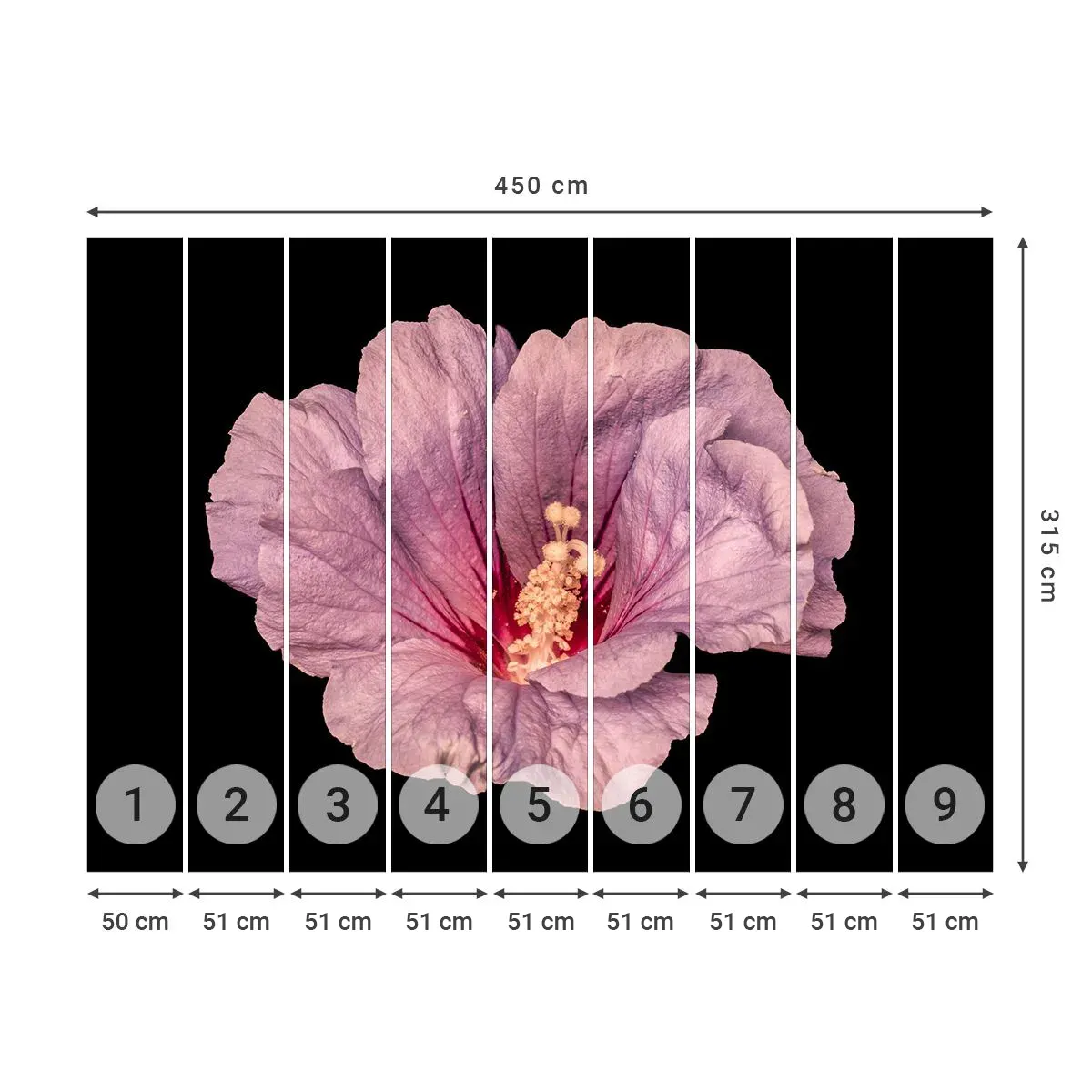 Fototapeta Samoprzylepna Deluxe Sticker - Prosto do serca - Kwiat, Sztuka, Grafika - 450x315 cm