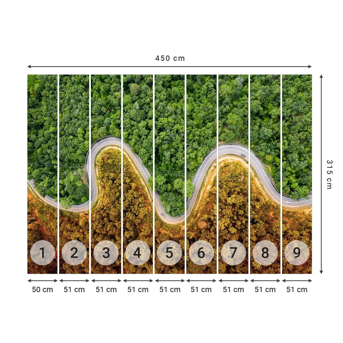 Papier Peint Autocollant Deluxe Sticker - Frontieres et differences - Paysage, Voiture Route, Forêt - 450x315 cm