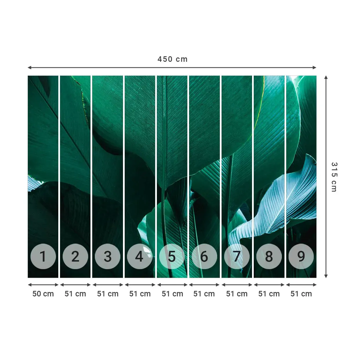 Öntapadós Fotótapéta Deluxe Sticker - A fény felé nézve - Banánlevél, Banánfa, Növény - 450x315 cm