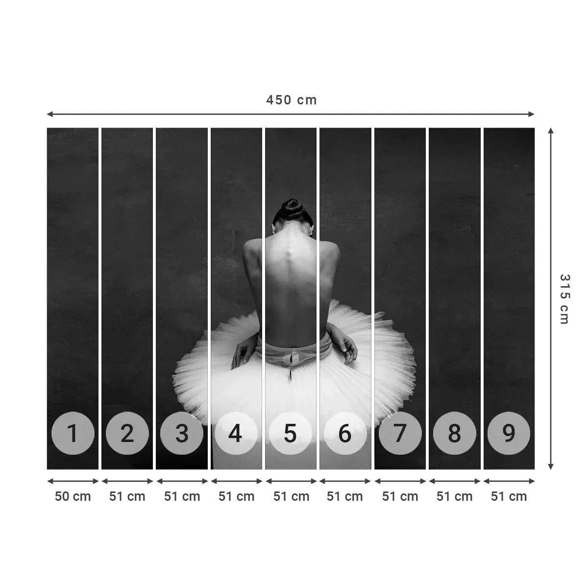 Selbstklebende Fototapete Deluxe Sticker - Es blüht gerade - Ballerina, Tanzen, Ballett - 450x315 cm