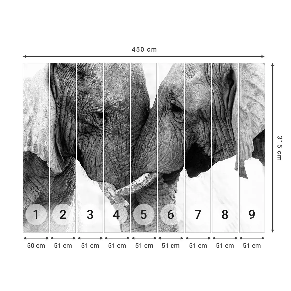 Self-Adhesive Photo Wallpaper Deluxe Sticker - Hearty Confession - Elephant, Animals, Africa - 450x315 cm