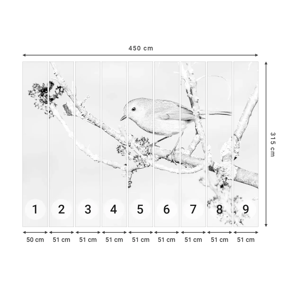 Selbstklebende Fototapete Deluxe Sticker - Wintermorgen - Hell, Vogel, Natur - 450x315 cm