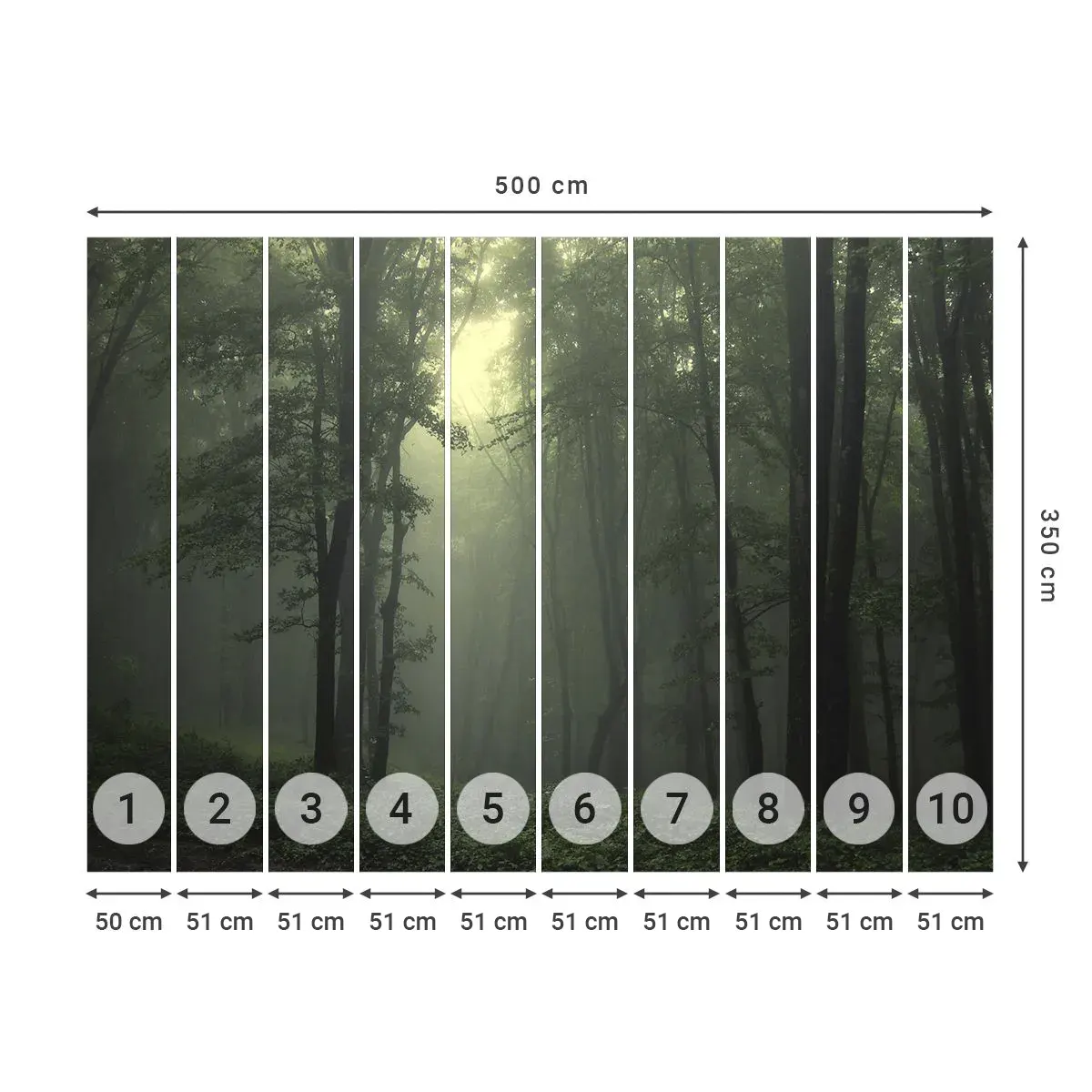 Self-Adhesive Photo Wallpaper Deluxe Sticker - Before It Wakes Up - Landscape, Forest, Nature - 500x350 cm