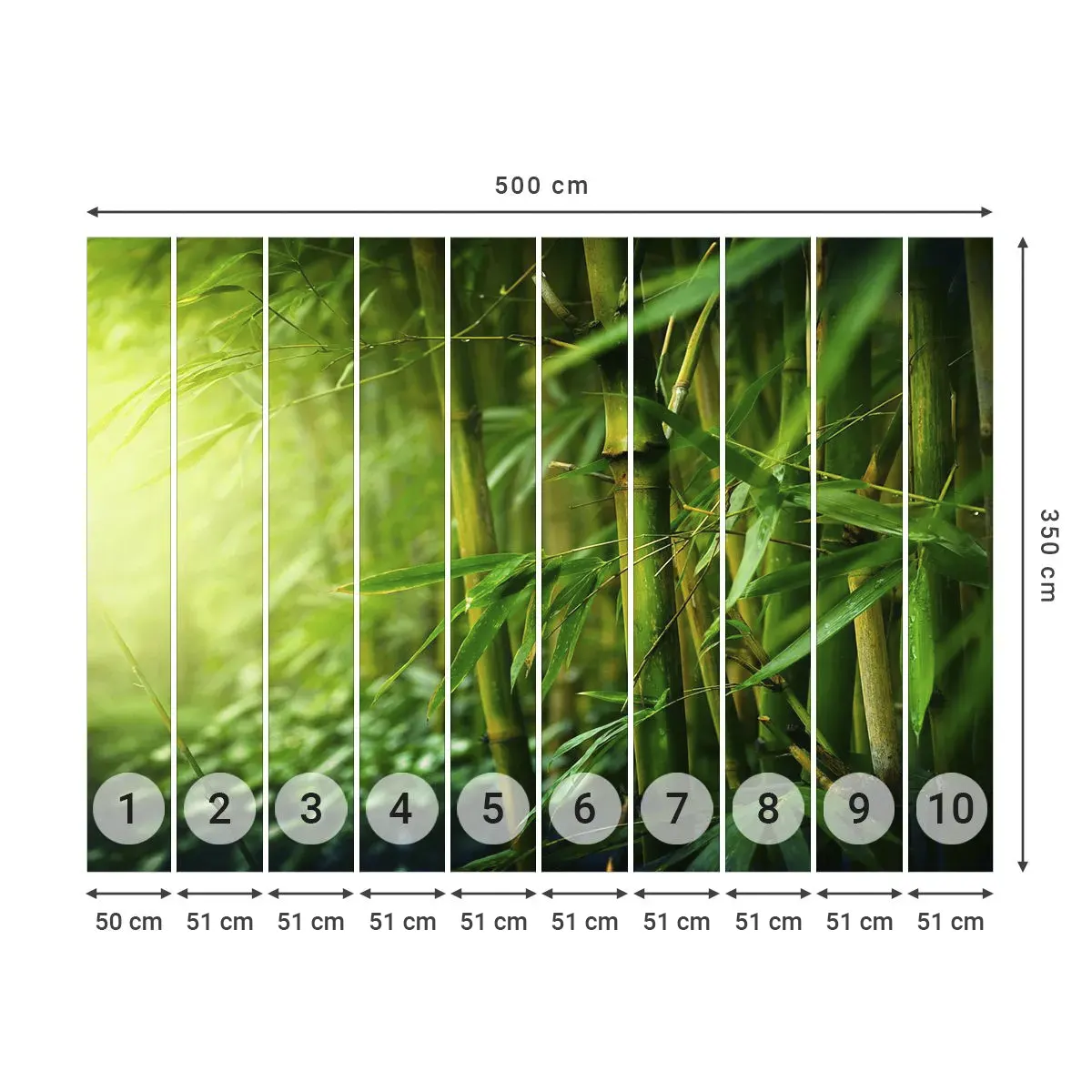 Fototapeta Samoprzylepna Deluxe Sticker - Poznać zieleń samą w sobie - Roślina, Bambus, Dżungla - 500x350 cm