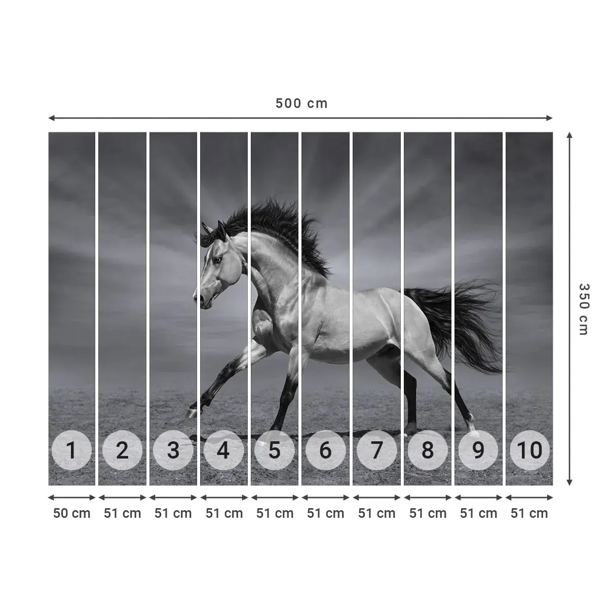 Samolepiaca Fototapeta Deluxe Sticker - Zrodený pre potešenie - Zvieratá, Kôň, Príroda - 500x350 cm