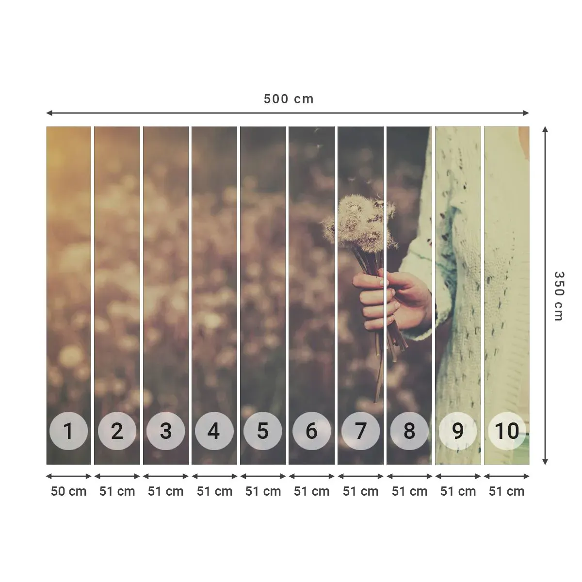 Öntapadós Fotótapéta Deluxe Sticker - Kérem, állítsd meg őket - Pitypang, Rét, Természet - 500x350 cm