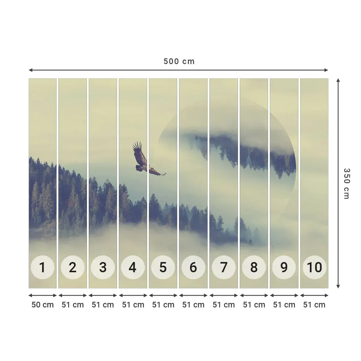 Papier Peint Autocollant Deluxe Sticker - J'ai vu l'ombre d'un aigle - Aigle, Oiseau, Forêt - 500x350 cm