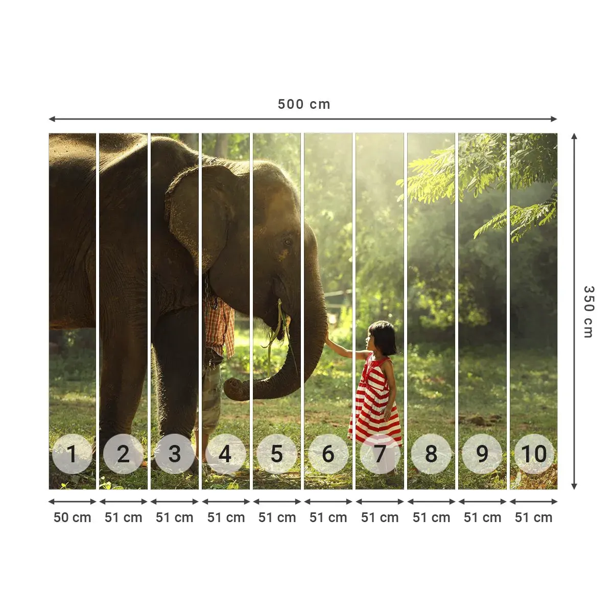 Papel de Parede Autocolante Deluxe Sticker - O poder da amizade - Animais, Elefante, Garota - 500x350 cm