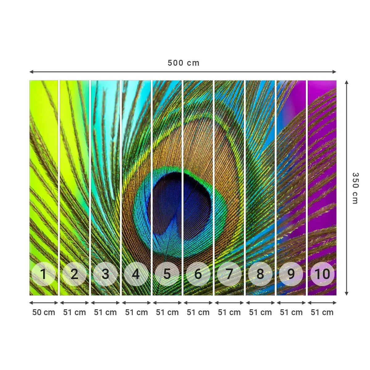 Self-Adhesive Photo Wallpaper Deluxe Sticker - Eye to Eye - Abstraction, Peacock Feather, Piece - 500x350 cm