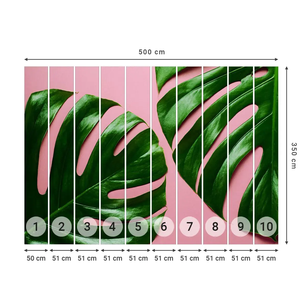 Fotomural Autadhesivo Deluxe Sticker - Cita con el verde - monstruo, Hoja verde, Planta exótica - 500x350 cm
