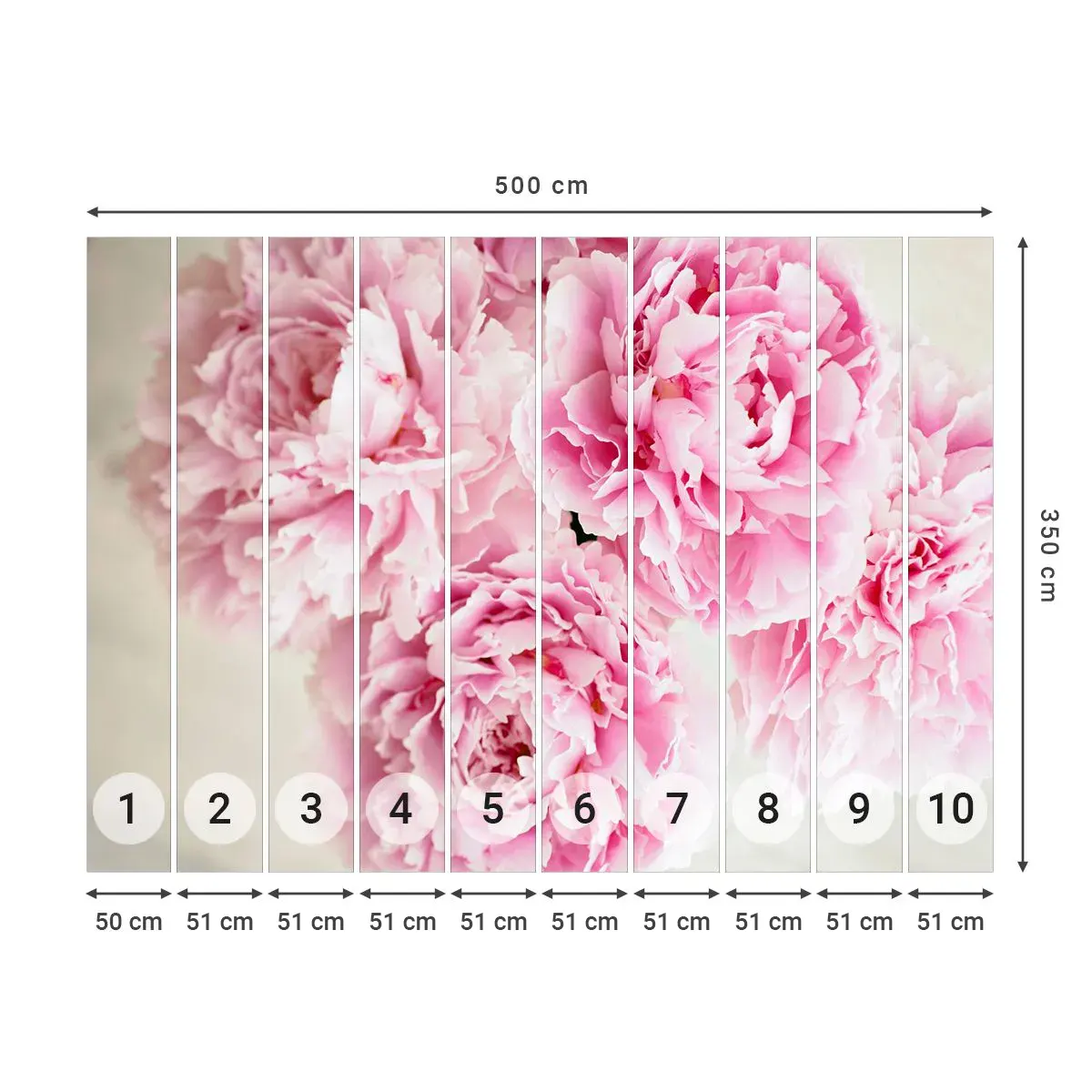 Papier Peint Autocollant Deluxe Sticker - En glamour rose - Pivoines, Bouquet de fleurs, Fleurs - 500x350 cm