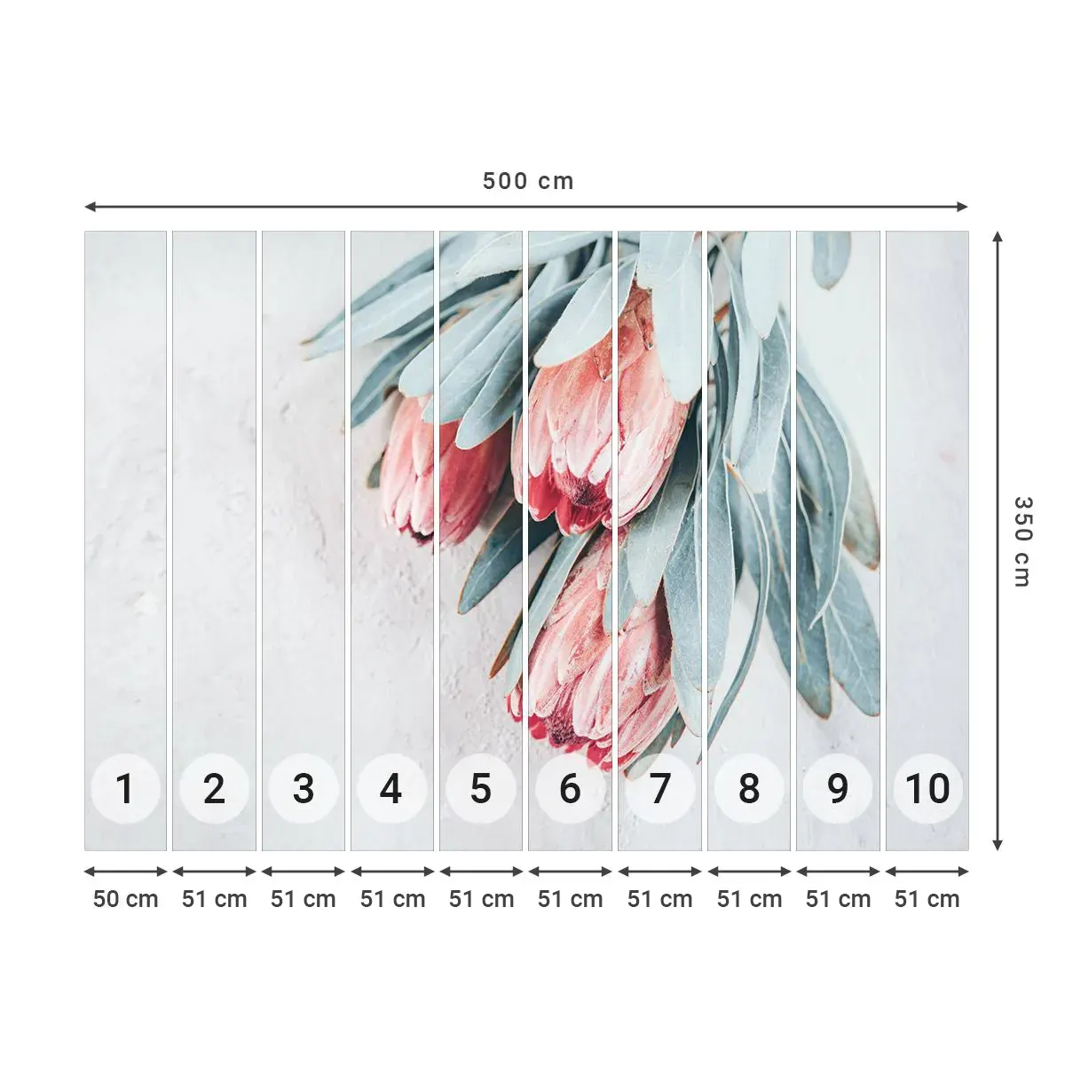 Fotomurali Autoadesivo Deluxe Sticker - Imbarazzati per la propria bellezza - Fiore, Protea reale, Africa - 500x350 cm