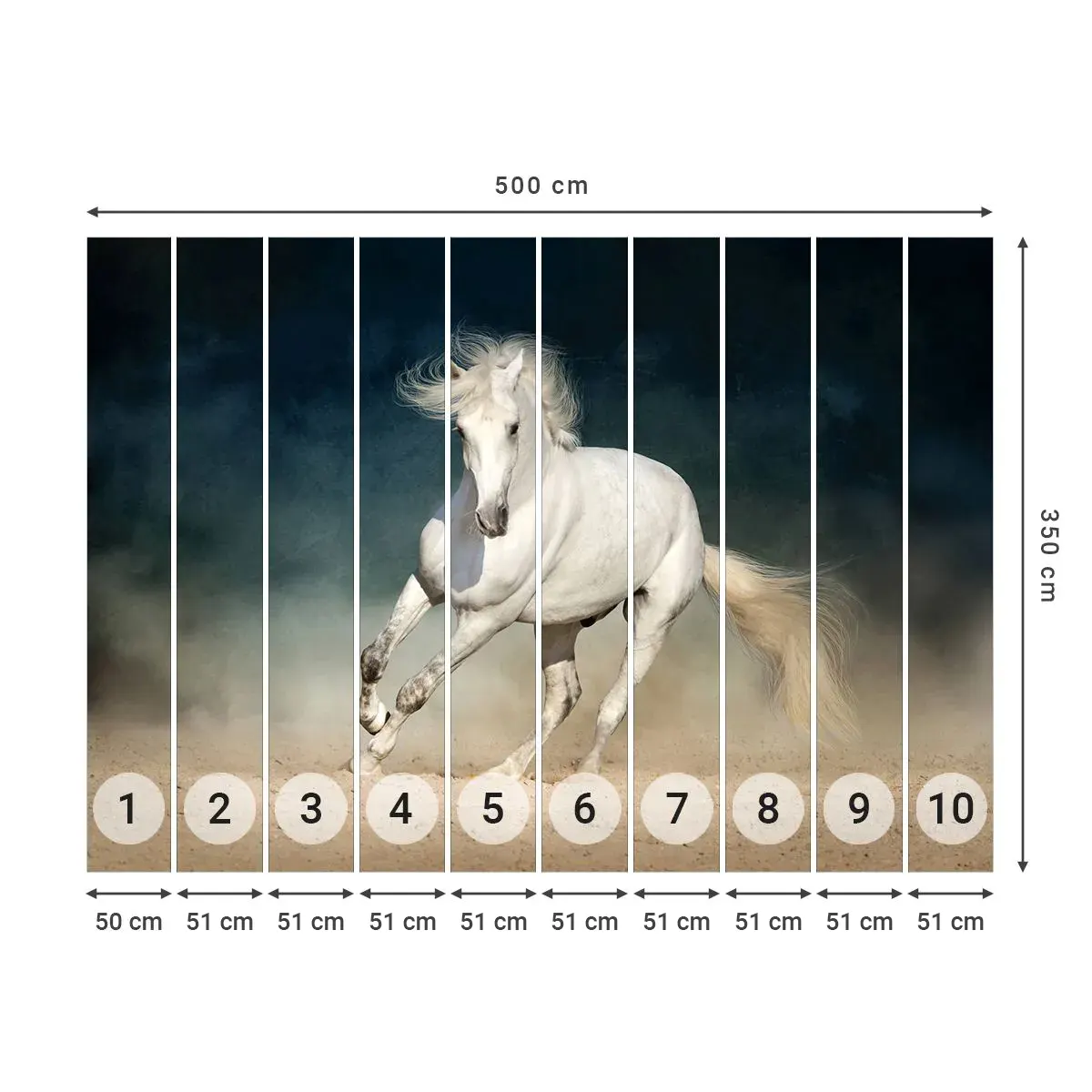 Tapet Autoadeziv Deluxe Sticker - Libertate în stare pură - Cal, Animal, alb - 500x350 cm