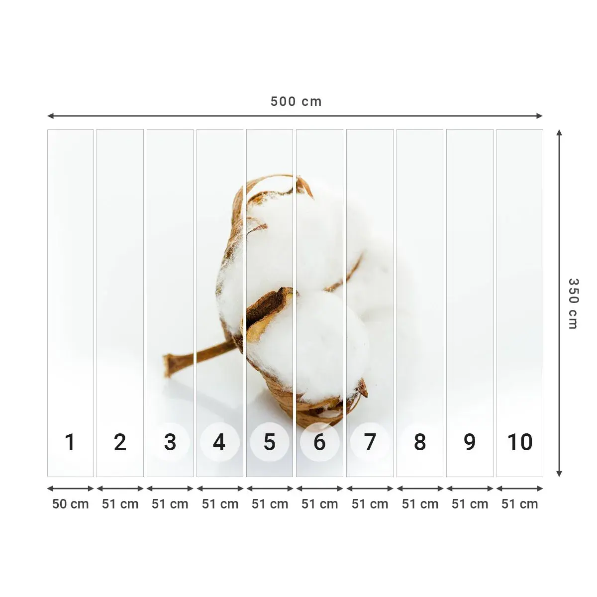 Fototapeta Samolepicí Deluxe Sticker - Měkká od přírody - Bavlna, Minimalistický, Květ - 500x350 cm