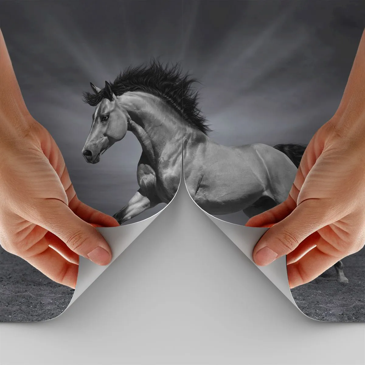 Tapet Standard Eco - Un cal alb-negru alergând pe un fundal deșertic - 100x70cm - Născut pentru a încânta - Decorațiune modernă pentru perete pentru living și dormitor ARTTOR