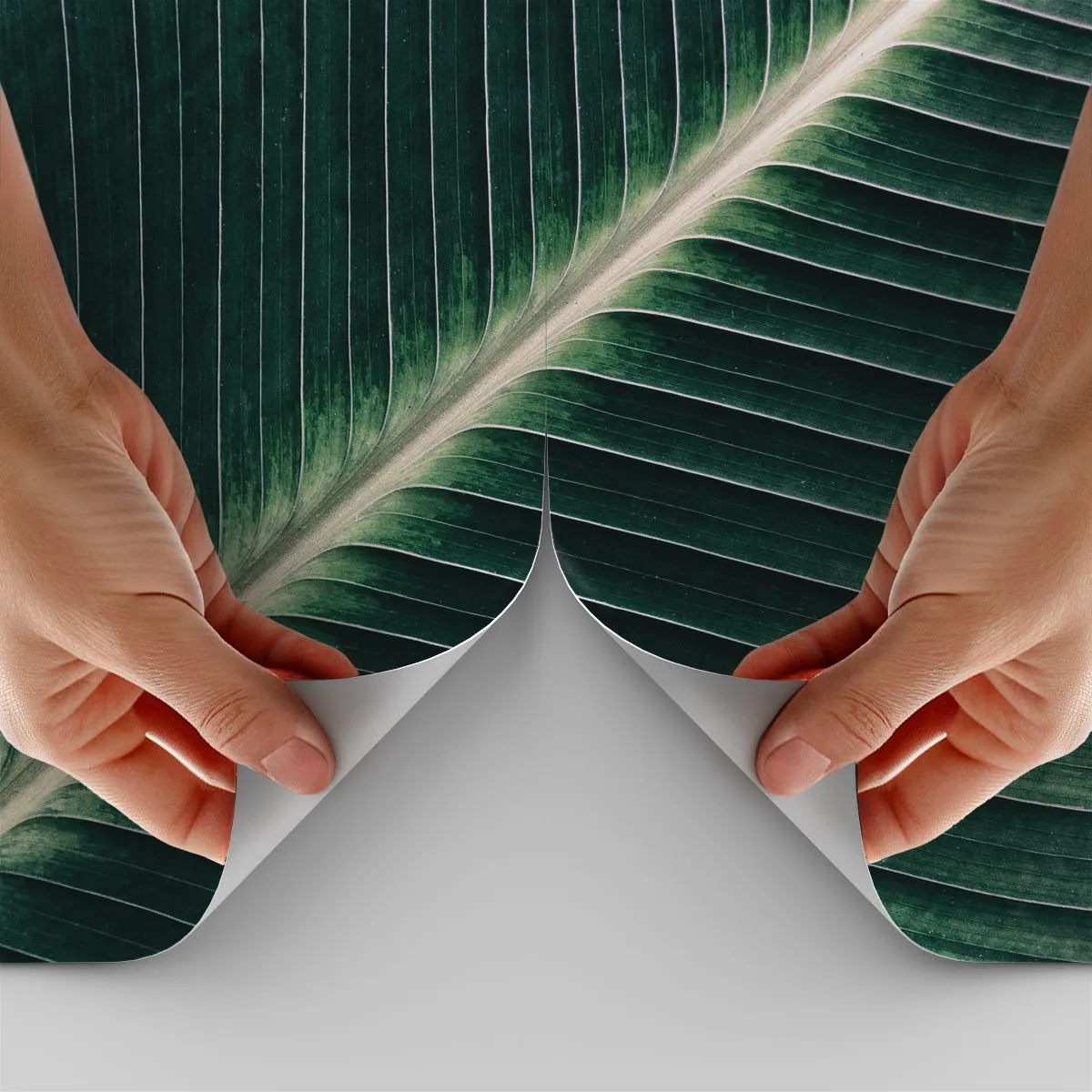 Fototapetă personalizată Standard Eco - Ritmul naturii - Abstracția, Frunză verde, Grafică