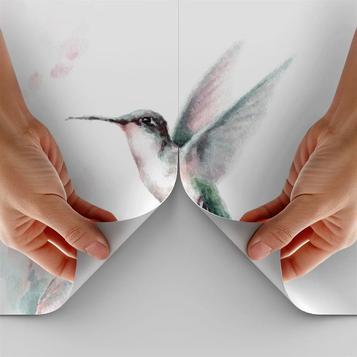 Papel de Parede Standard Eco - Preso em agitação - Beija Flor, Pássaro, Pedaço - 250x175 cm