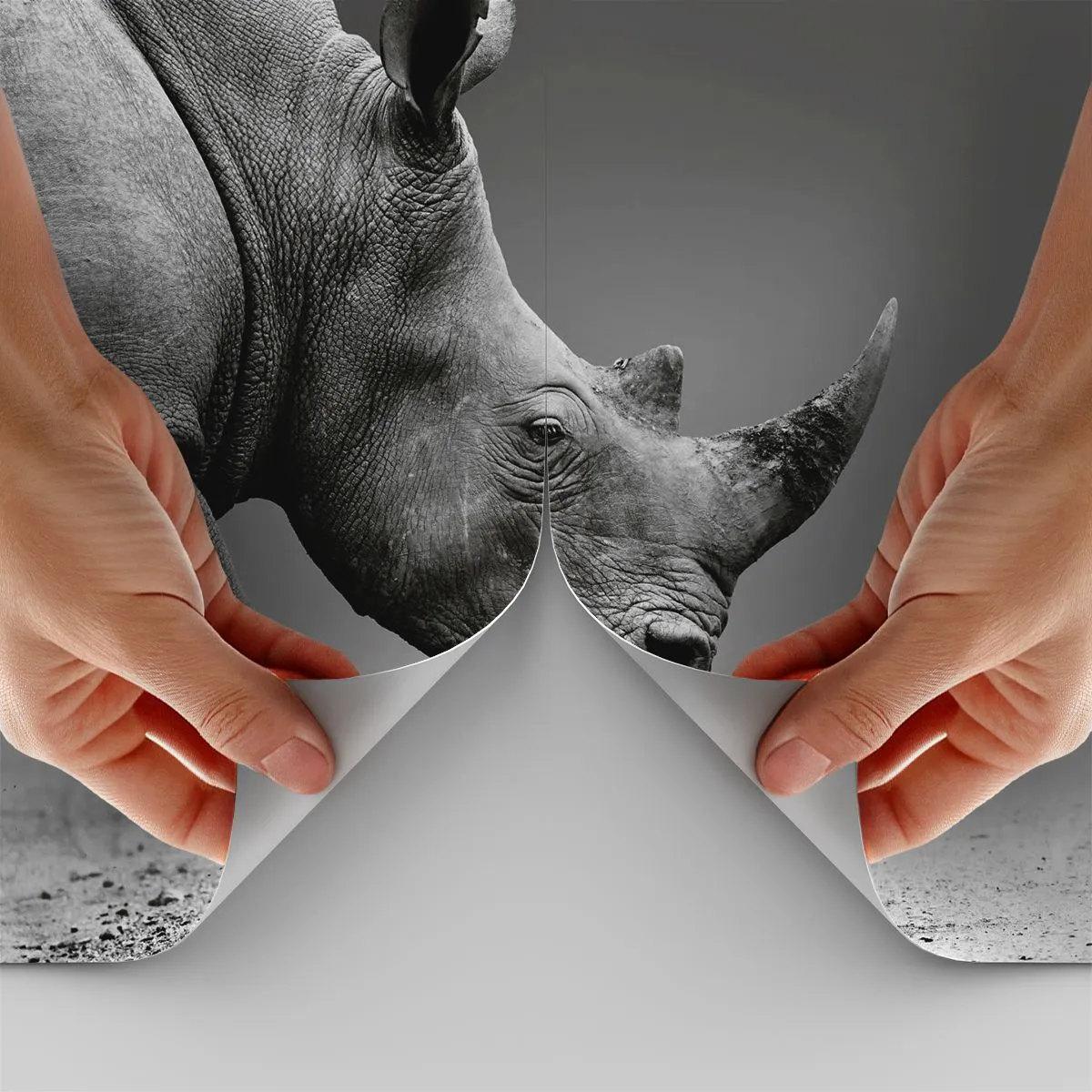 Maßgeschneiderte Fototapete Standard Eco - Unaufhaltsame Stärke - Nashorn, Tiere, Afrika