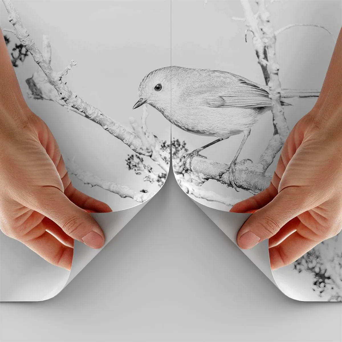 Fototapeta Standard Eco - Zimné ráno - Svetlý, Vták, Príroda - 350x256 cm