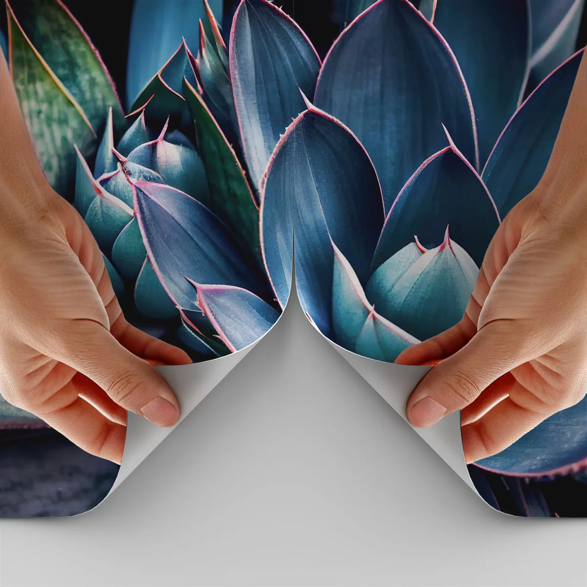 Fotomural Standard Eco - Fuerza vital - flores, Botánica, suculentas - 300x210 cm