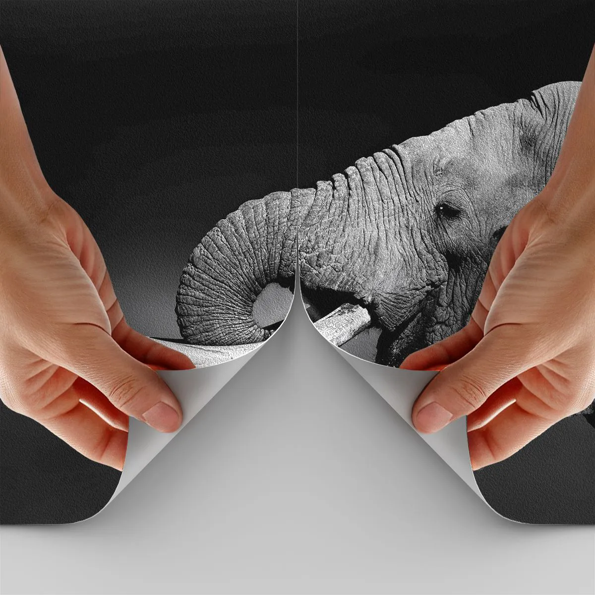 Papier Peint Photo Premium Sand - Photographie en noir et blanc d'un éléphant - 100x70cm - Oui, c'est bon maintenant - Décoration murale moderne pour le salon et la chambre ARTTOR