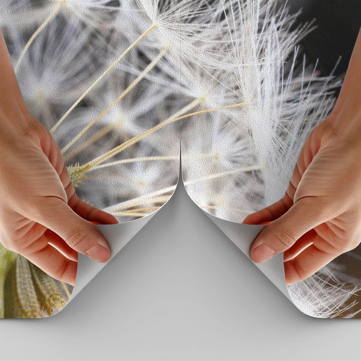 Fotomurali Premium Sand - Subito prima del decollo - Fiore, Pianta, Natura - 150x105 cm