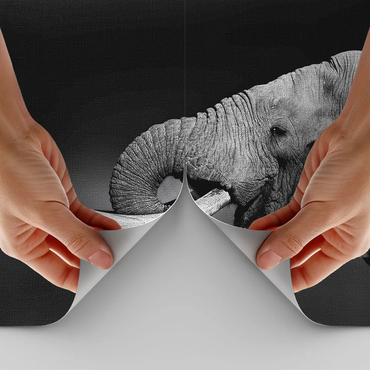 Fototapeta Premium Canvas - Ano, teď je to dobré - Zvířata, Slon, Afrika - 100x70 cm