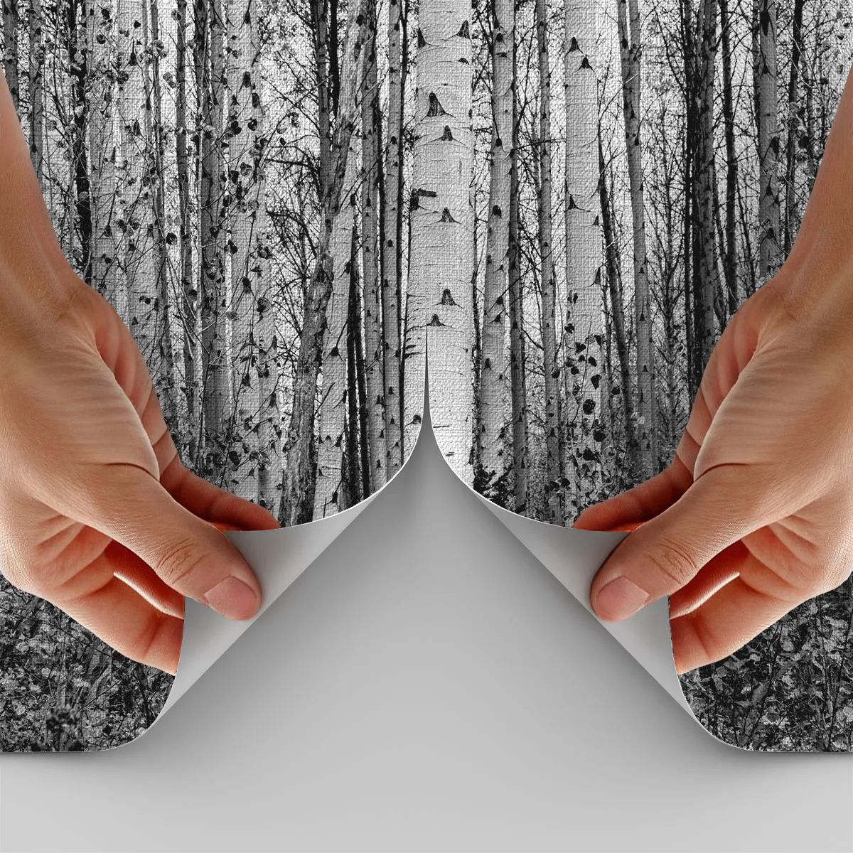 Fototapete Premium Canvas - Schwarz-weiße Birken im Wald - 100x70cm - Birkenkolonnade - Moderne Wanddekoration für Wohnzimmer und Schlafzimmer ARTTOR