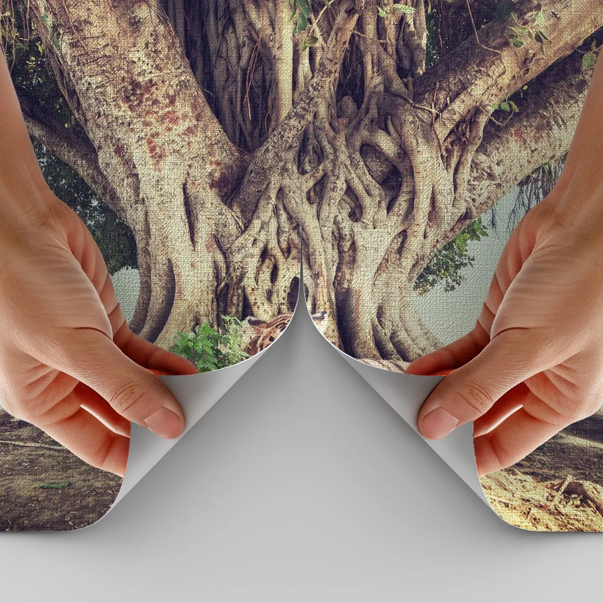 Fototapete Premium Canvas - Ein Tiger ruht unter einem ausladenden Baum - 100x70cm - Blick aus dem Buch Genesis - Moderne Wanddekoration für Wohnzimmer und Schlafzimmer ARTTOR