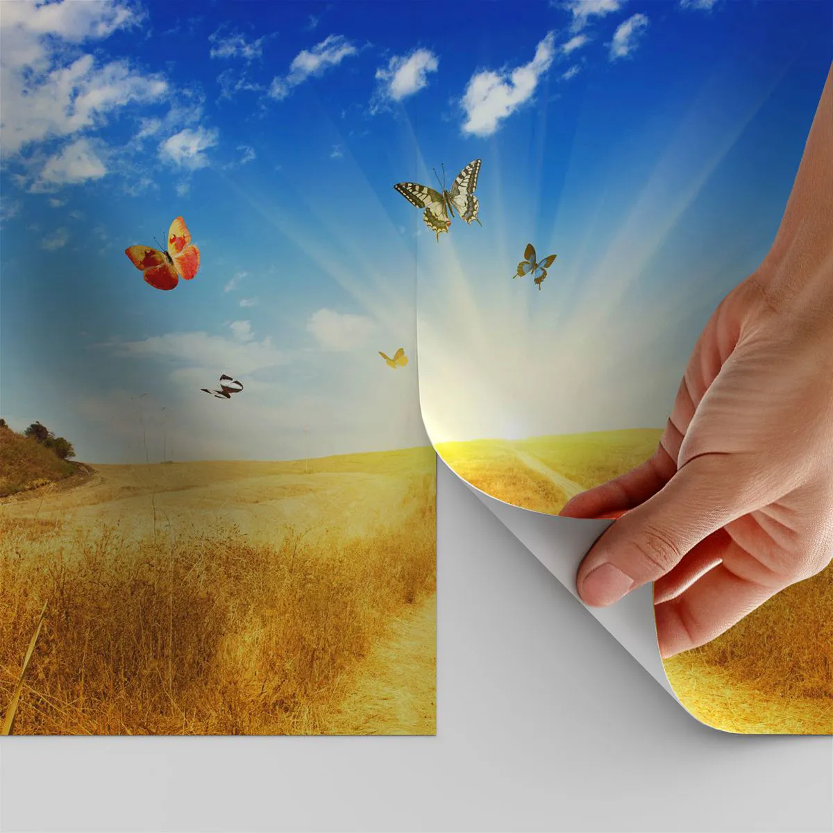 Papel de parede personalizado Adesivo Deluxe Sticker - E como não amar o verão? - Paisagem, Borboletas, Natureza