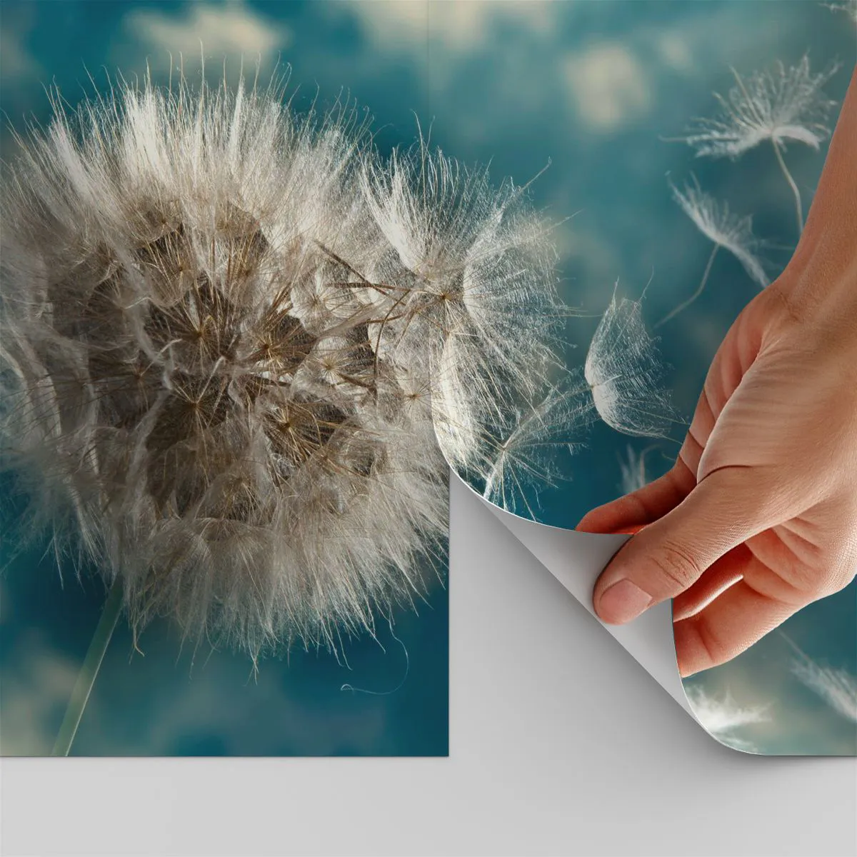 Fototapeta Samolepicí Deluxe Sticker - Dech anděla - Příroda, indické léto, Kus - 350x256 cm