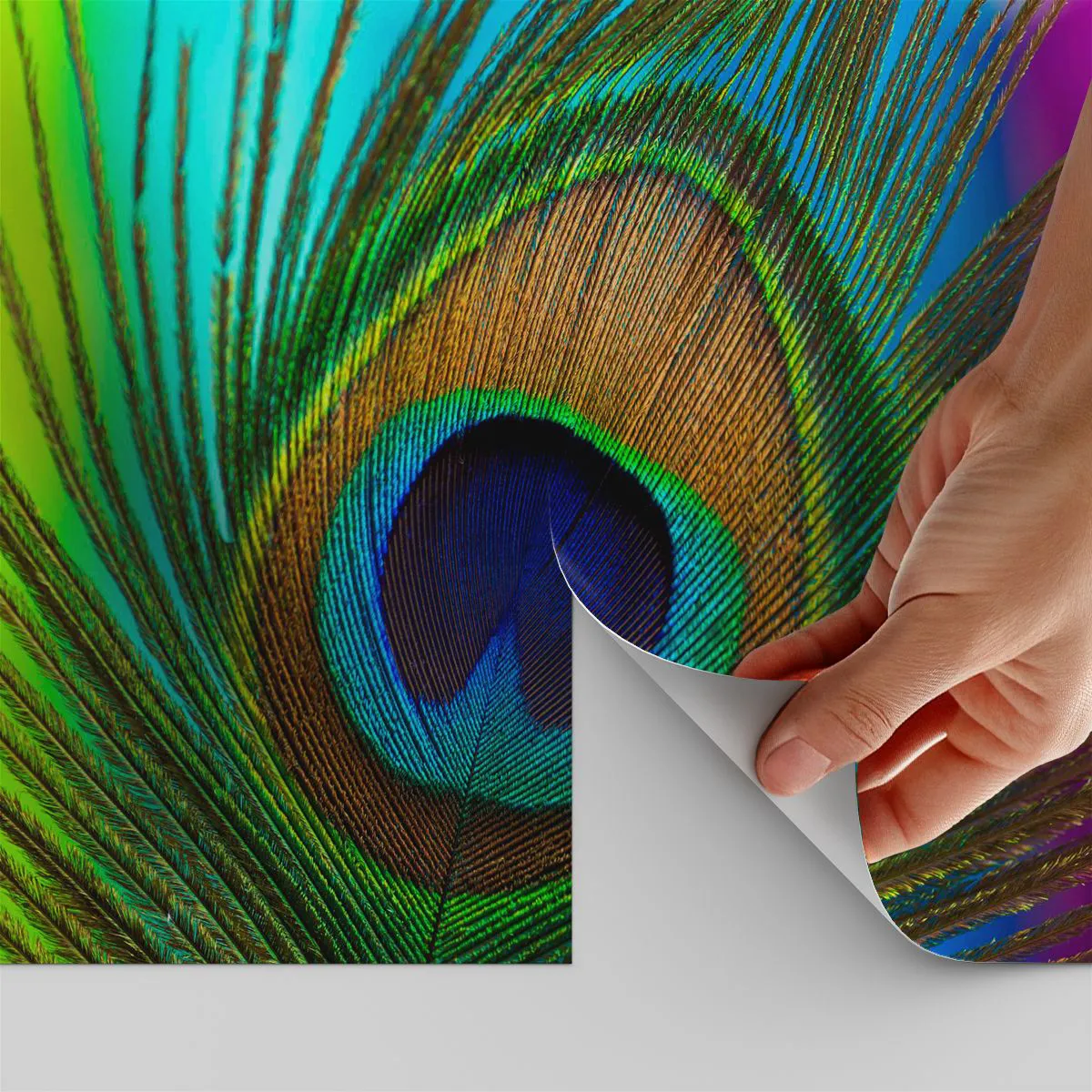 Self-Adhesive Photo Wallpaper Deluxe Sticker - Eye to Eye - Abstraction, Peacock Feather, Piece - 100x70 cm