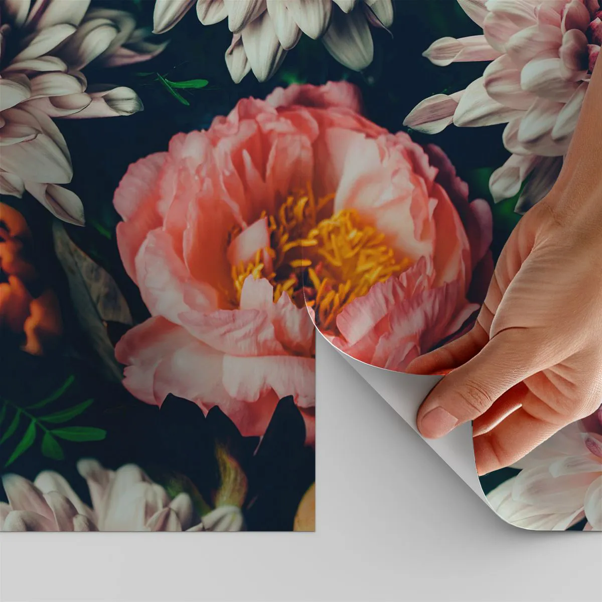 Tapet Autoadeziv Deluxe Sticker - Cu splendoare barocă - Flori, Bujor, Buchet de flori - 300x210 cm