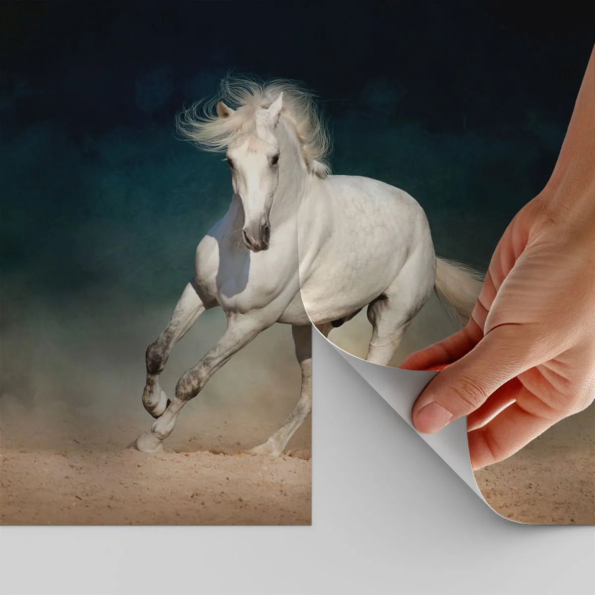 Zelfklevend Fotobehang Deluxe Sticker - Vrijheid in zijn pure staat - Paard, Dier, Wit - 450x315 cm